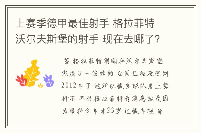 上赛季德甲最佳射手 格拉菲特 沃尔夫斯堡的射手 现在去哪了?