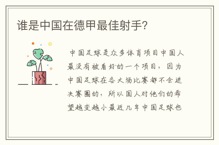 谁是中国在德甲最佳射手?