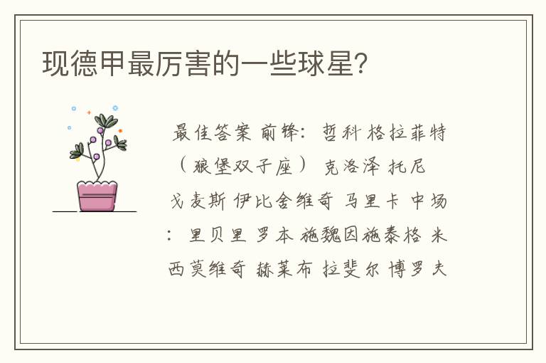 现德甲最厉害的一些球星？