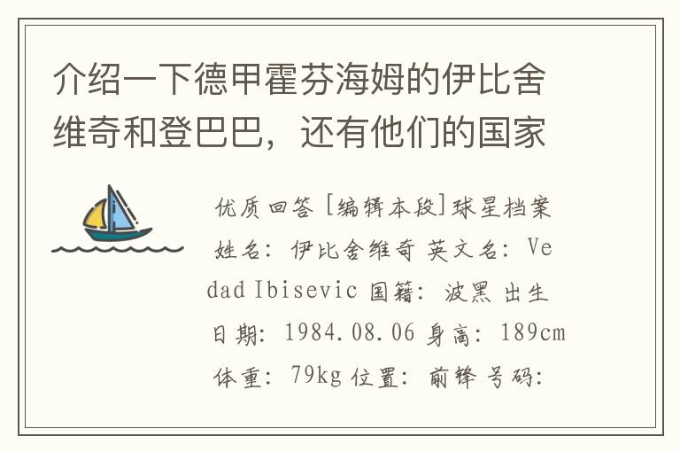 介绍一下德甲霍芬海姆的伊比舍维奇和登巴巴,还有他们的国家队履历