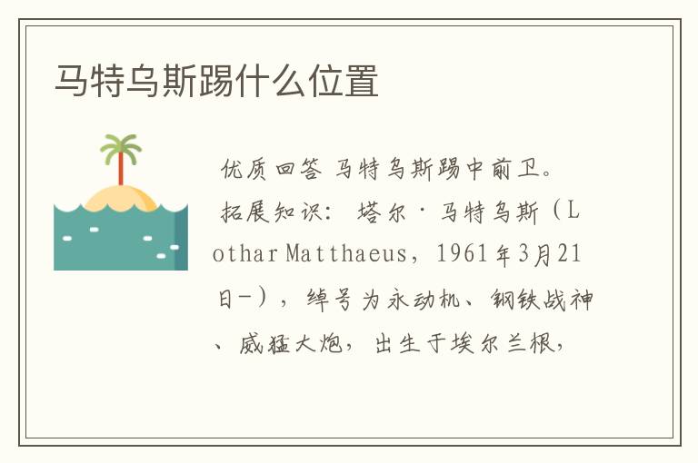 马特乌斯踢什么位置