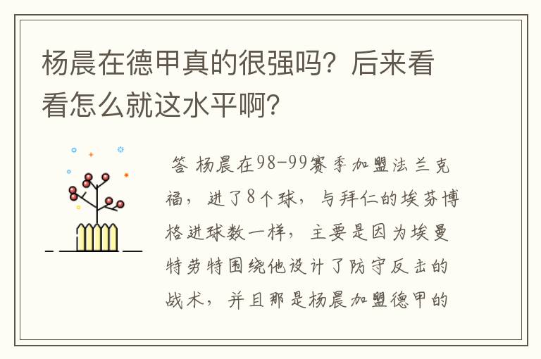 杨晨在德甲真的很强吗?后来看看怎么就这水平啊?