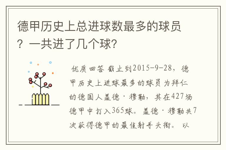 德甲历史上总进球数最多的球员?一共进了几个球?