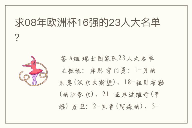 求08年欧洲杯16强的23人大名单?