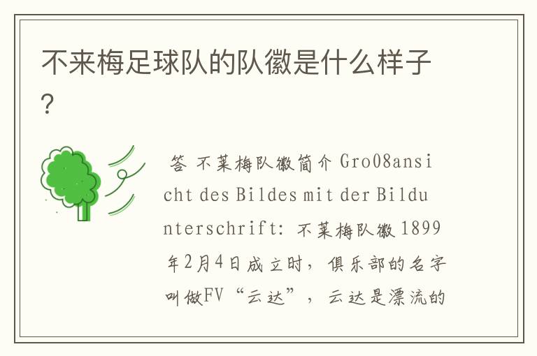 不来梅足球队的队徽是什么样子?