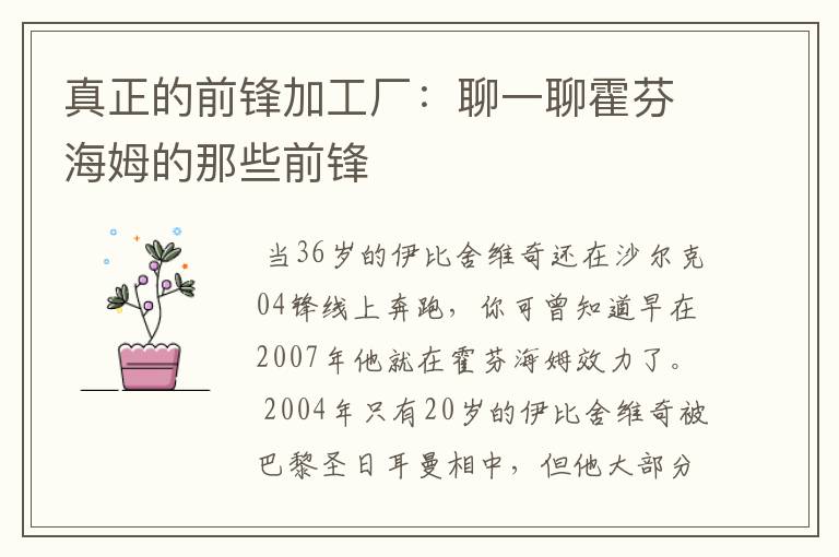 真正的前锋加工厂：聊一聊霍芬海姆的那些前锋