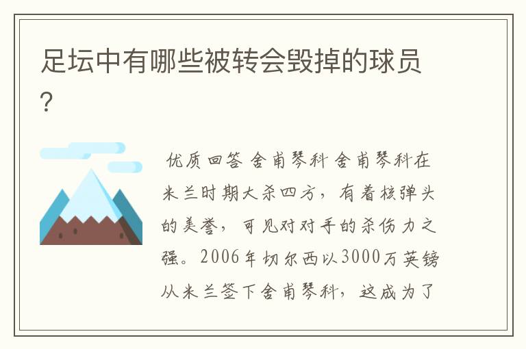 足坛中有哪些被转会毁掉的球员?