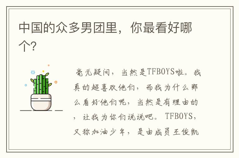 中国的众多男团里,你最看好哪个?