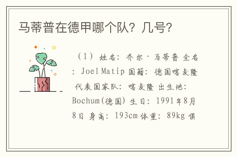 马蒂普在德甲哪个队?几号?