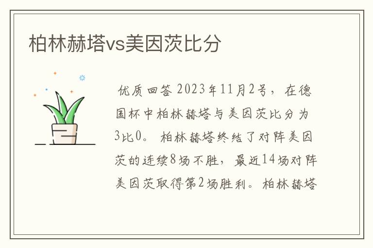 柏林赫塔vs美因茨比分