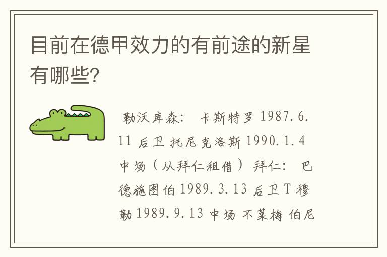 目前在德甲效力的有前途的新星有哪些?