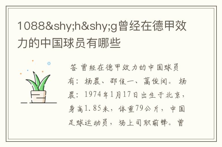 1088hg曾经在德甲效力的中国球员有哪些