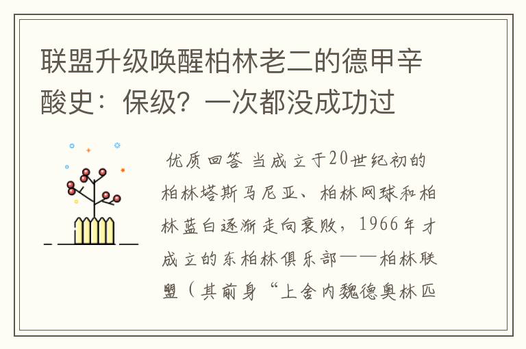 联盟升级唤醒柏林老二的德甲辛酸史:保级?一次都没成功过
