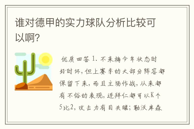 谁对德甲的实力球队分析比较可以啊?