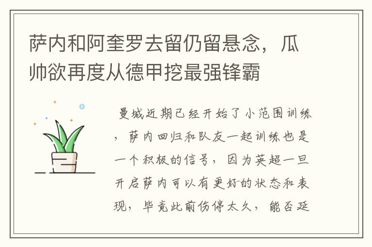 萨内和阿奎罗去留仍留悬念,瓜帅欲再度从德甲挖最强锋霸