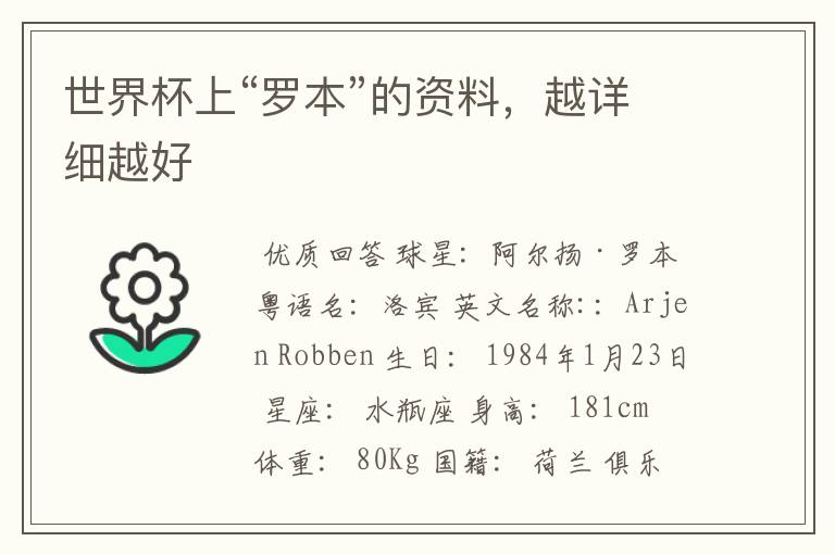 世界杯上“罗本”的资料,越详细越好