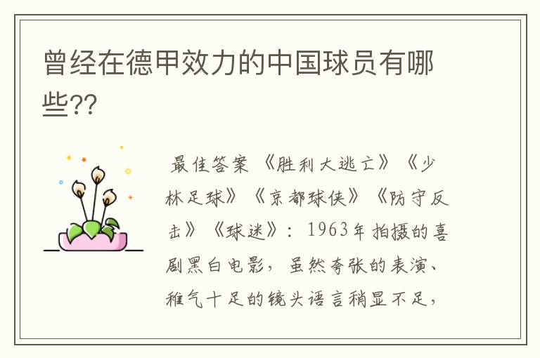 曾经在德甲效力的中国球员有哪些?？