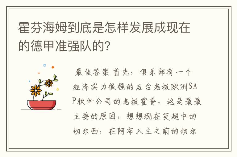 霍芬海姆到底是怎样发展成现在的德甲准强队的?
