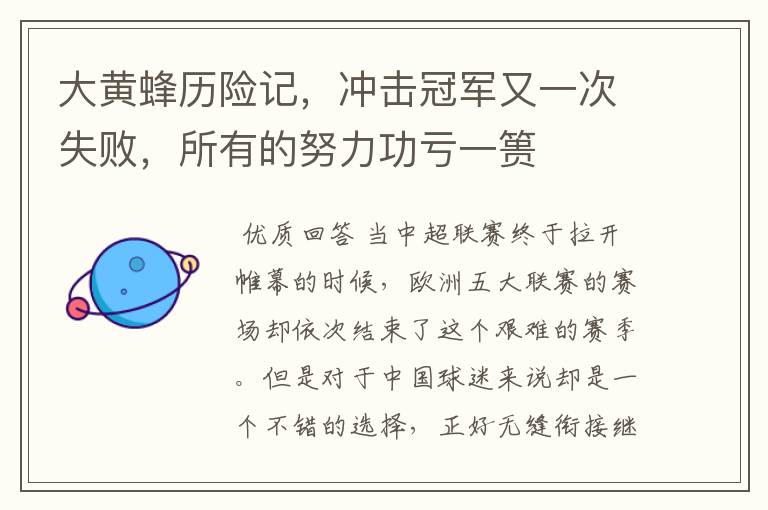 大黄蜂历险记，冲击冠军又一次失败，所有的努力功亏一篑