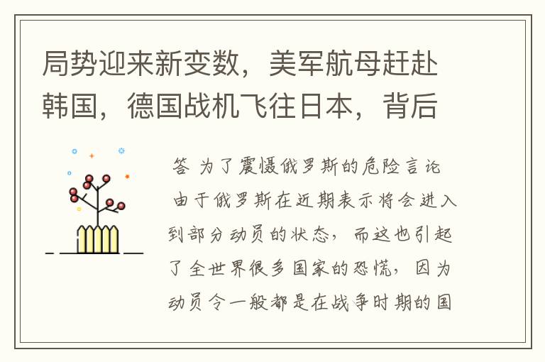 局势迎来新变数,美军航母赶赴韩国,德国战机飞往日本,背后有何深意?