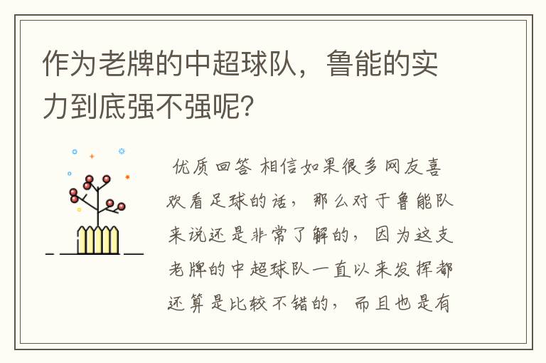 作为老牌的中超球队,鲁能的实力到底强不强呢?
