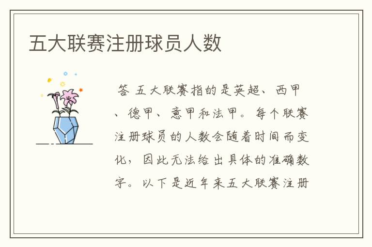 五大联赛注册球员人数