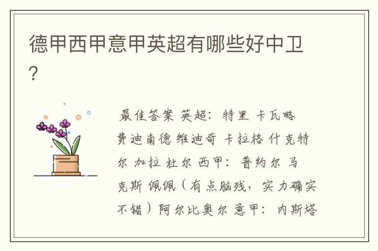 德甲西甲意甲英超有哪些好中卫?