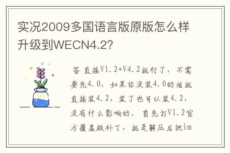 实况2009多国语言版原版怎么样升级到WECN4.2?