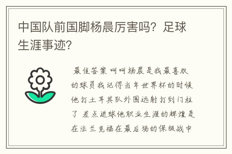 中国队前国脚杨晨厉害吗?足球生涯事迹?