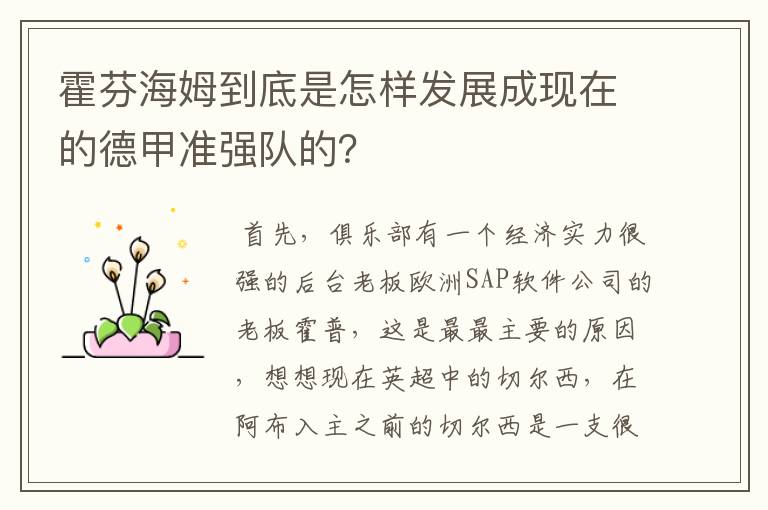 霍芬海姆到底是怎样发展成现在的德甲准强队的？