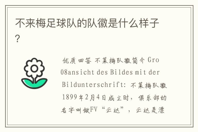 不来梅足球队的队徽是什么样子?
