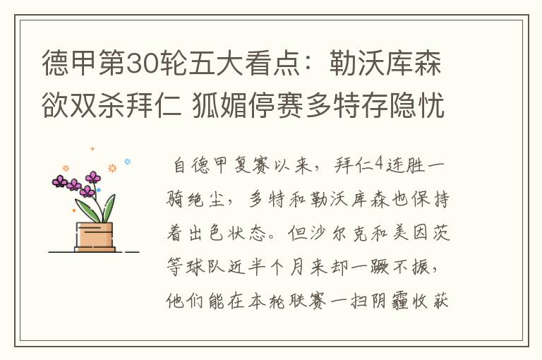 德甲第30轮五大看点:勒沃库森欲双杀拜仁 狐媚停赛多特存隐忧