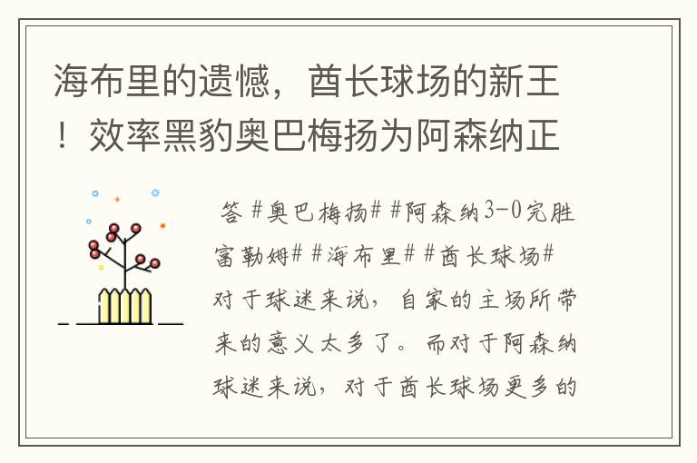 海布里的遗憾,酋长球场的新王!效率黑豹奥巴梅扬为阿森纳正名!