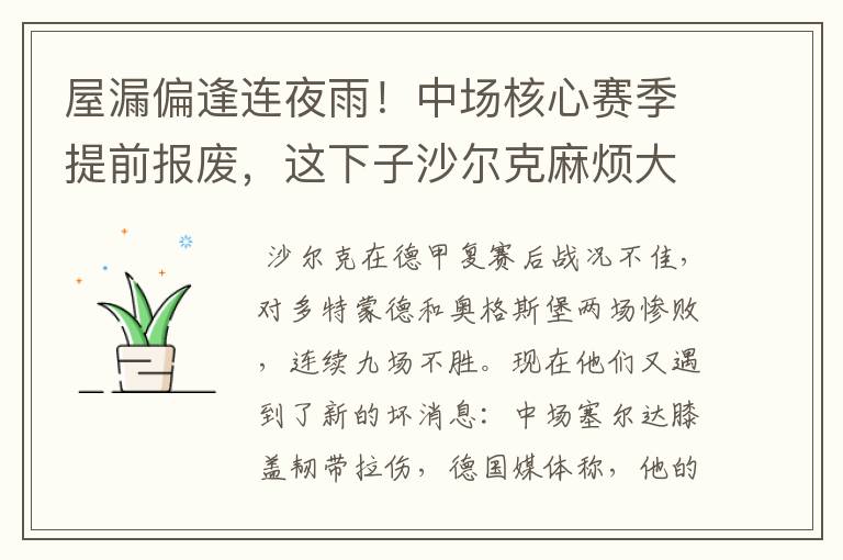 屋漏偏逢连夜雨!中场核心赛季提前报废,这下子沙尔克麻烦大了