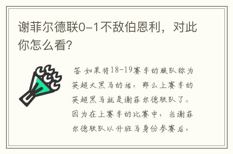 谢菲尔德联0-1不敌伯恩利,对此你怎么看?