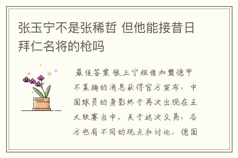 张玉宁不是张稀哲 但他能接昔日拜仁名将的枪吗