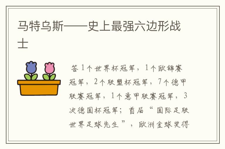 马特乌斯——史上最强六边形战士