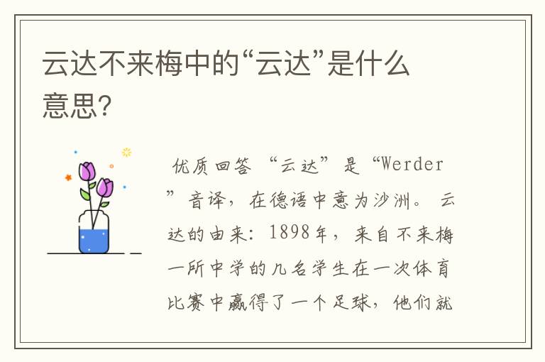云达不来梅中的“云达”是什么意思?