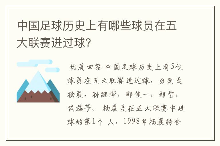 中国足球历史上有哪些球员在五大联赛进过球?