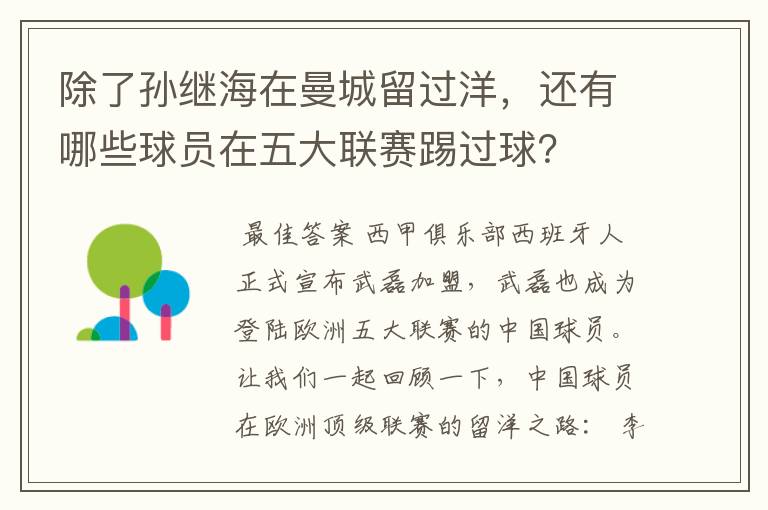 除了孙继海在曼城留过洋,还有哪些球员在五大联赛踢过球?