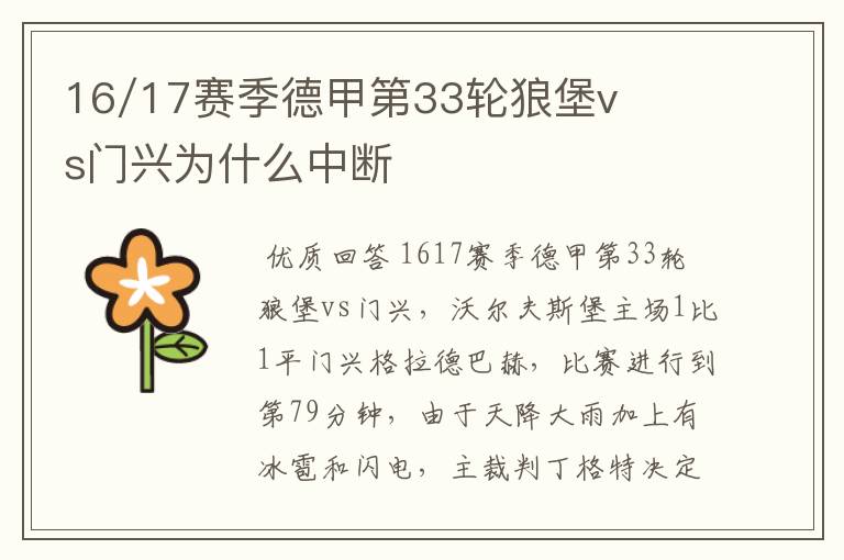 16/17赛季德甲第33轮狼堡vs门兴为什么中断
