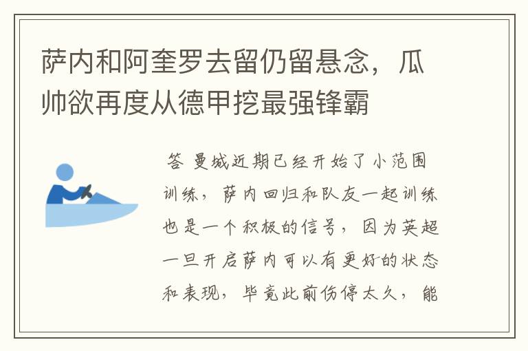 萨内和阿奎罗去留仍留悬念,瓜帅欲再度从德甲挖最强锋霸