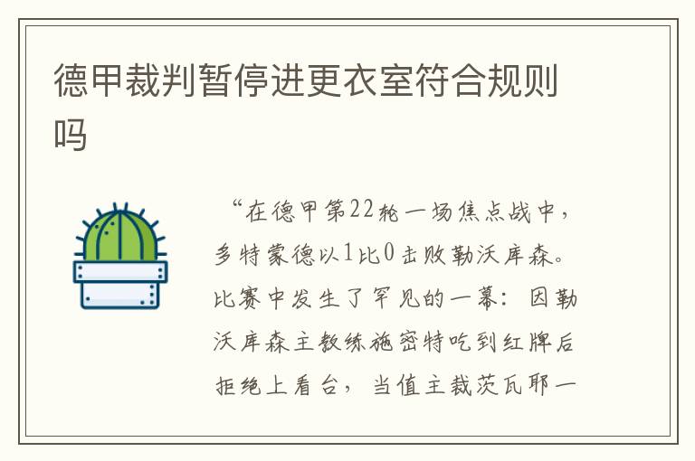 德甲裁判暂停进更衣室符合规则吗