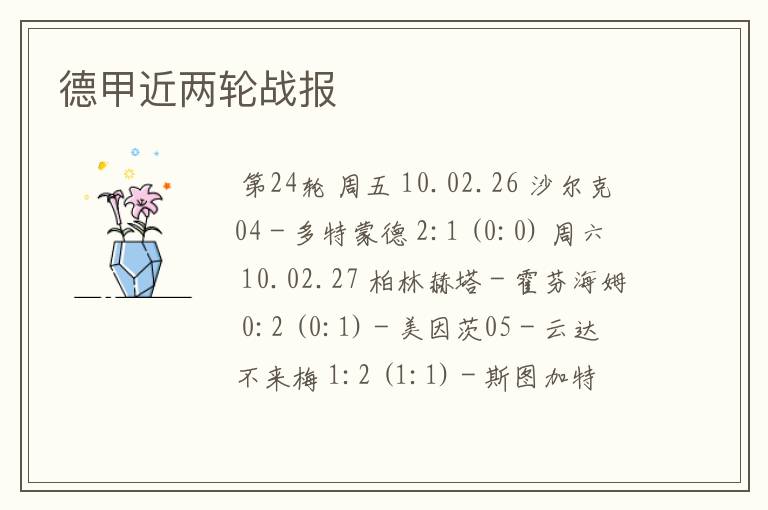 德甲近两轮战报