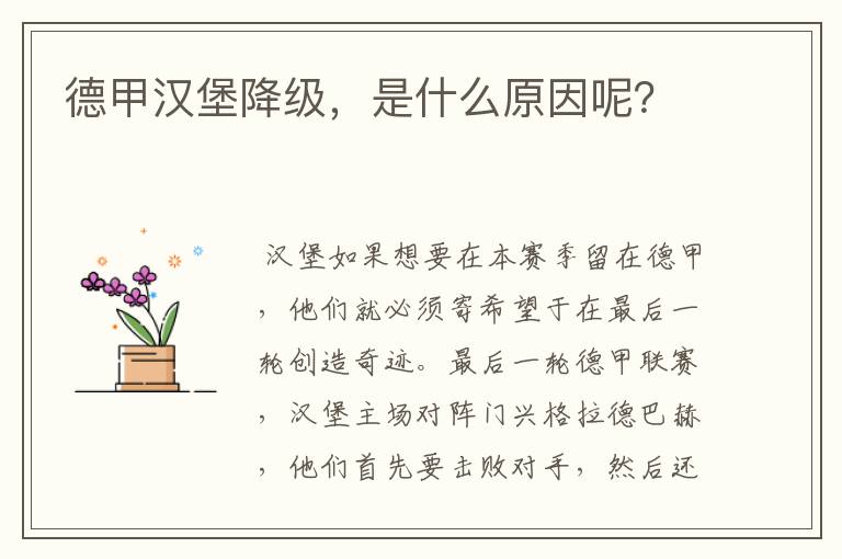 德甲汉堡降级,是什么原因呢?