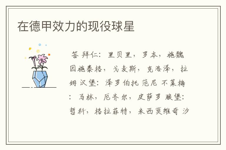 在德甲效力的现役球星