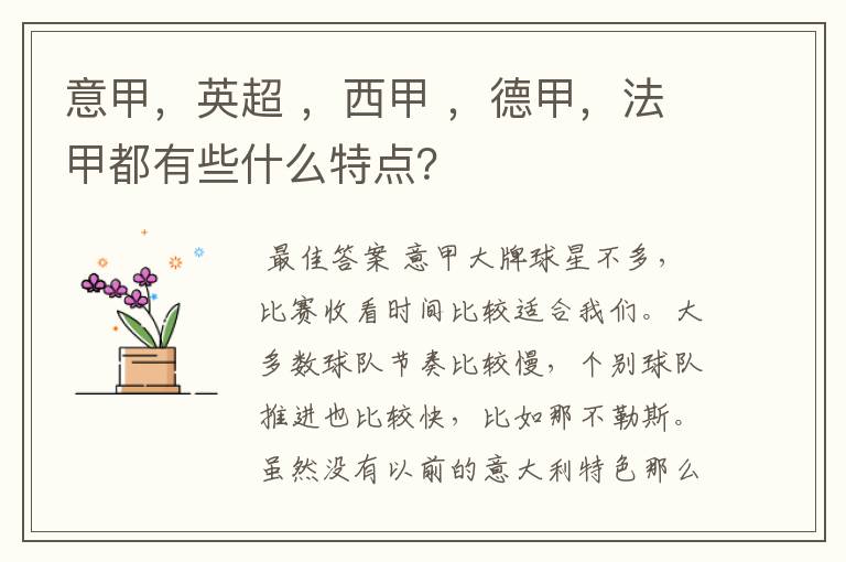 意甲,英超 ,西甲 ,德甲,法甲都有些什么特点?