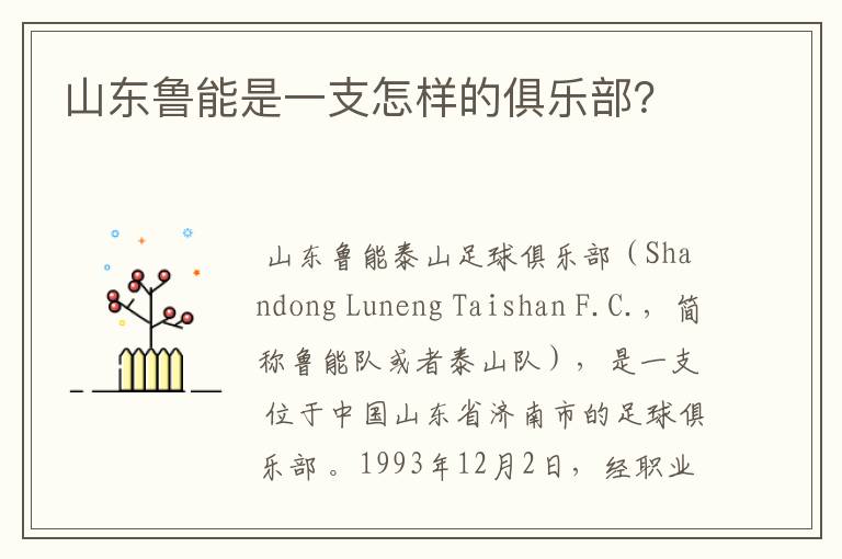 山东鲁能是一支怎样的俱乐部?