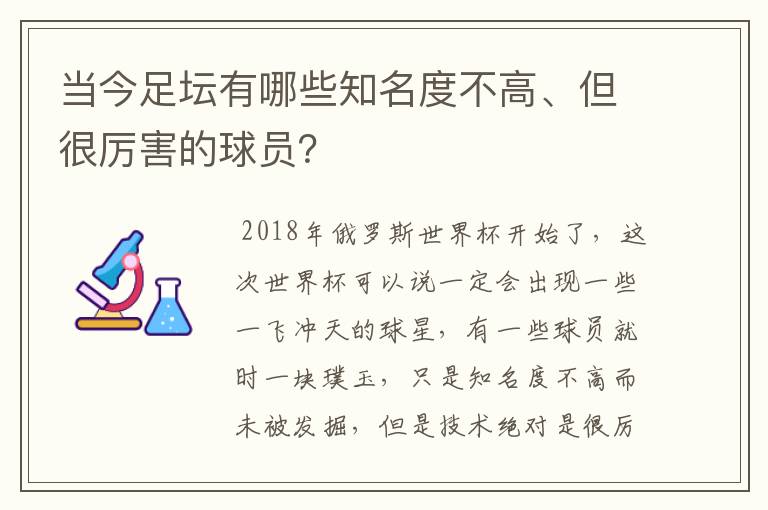 当今足坛有哪些知名度不高、但很厉害的球员?
