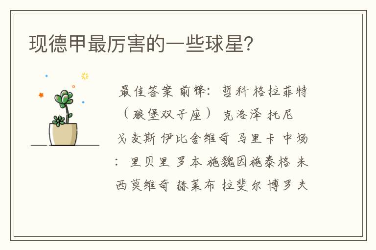 现德甲最厉害的一些球星？